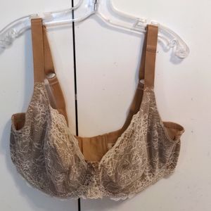 40DD Lace Wonderbra